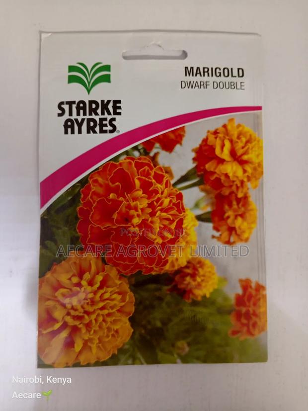 Marigold Dwarf Double Flower Seeds 3grams - thumbnail 4