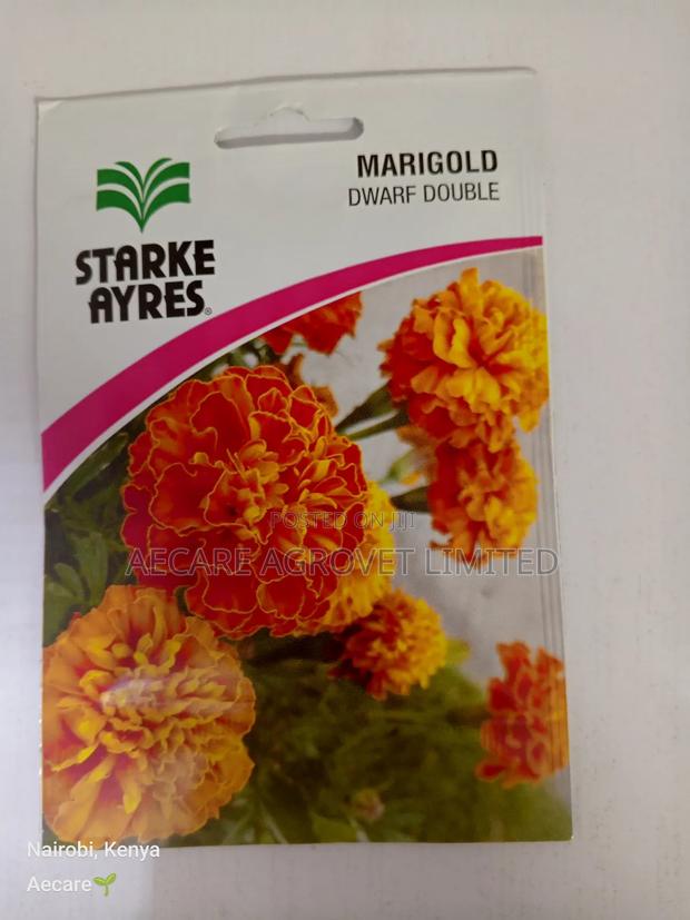 Marigold Dwarf Double Flower Seeds 3grams - thumbnail 5