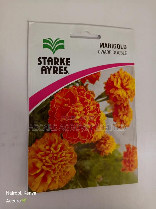 Marigold Dwarf Double Flower Seeds 3grams - thumbnail 6