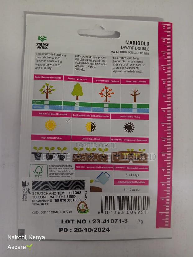 Marigold Dwarf Double Flower Seeds 3grams - thumbnail 7