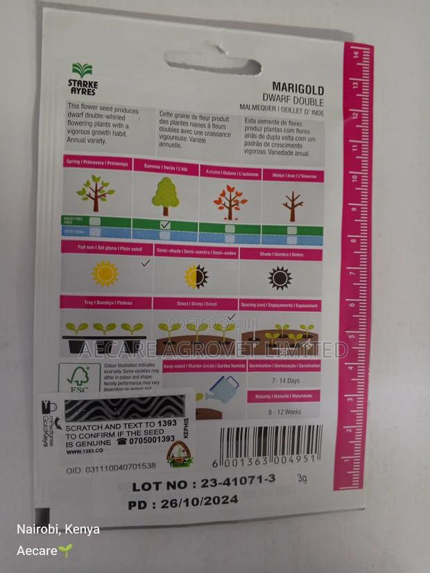 Marigold Dwarf Double Flower Seeds 3grams - thumbnail 8