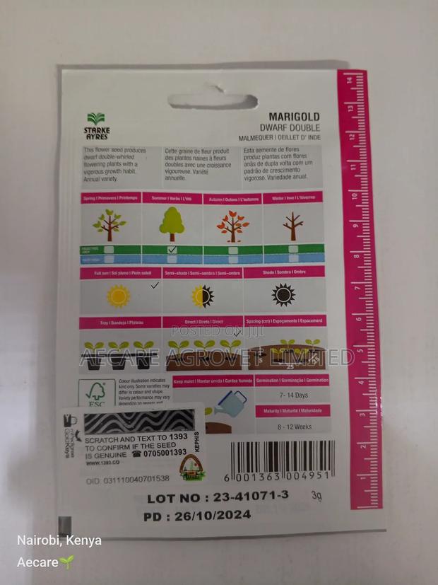 Marigold Dwarf Double Flower Seeds 3grams - thumbnail 9