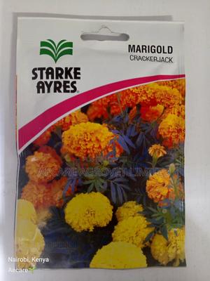 Marigold Cracker Jack Flower Seeds 3.5 Grams - thumbnail 2