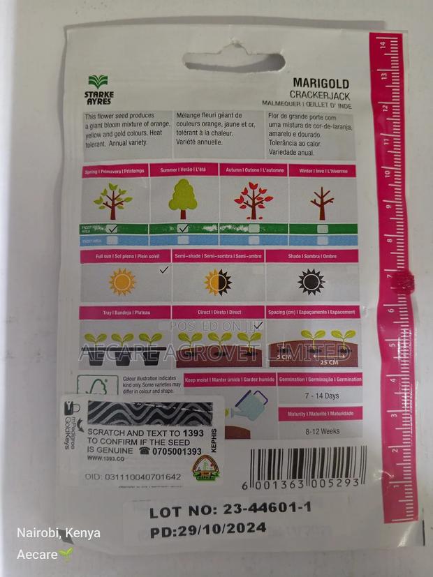 Marigold Cracker Jack Flower Seeds 3.5 Grams - thumbnail 5