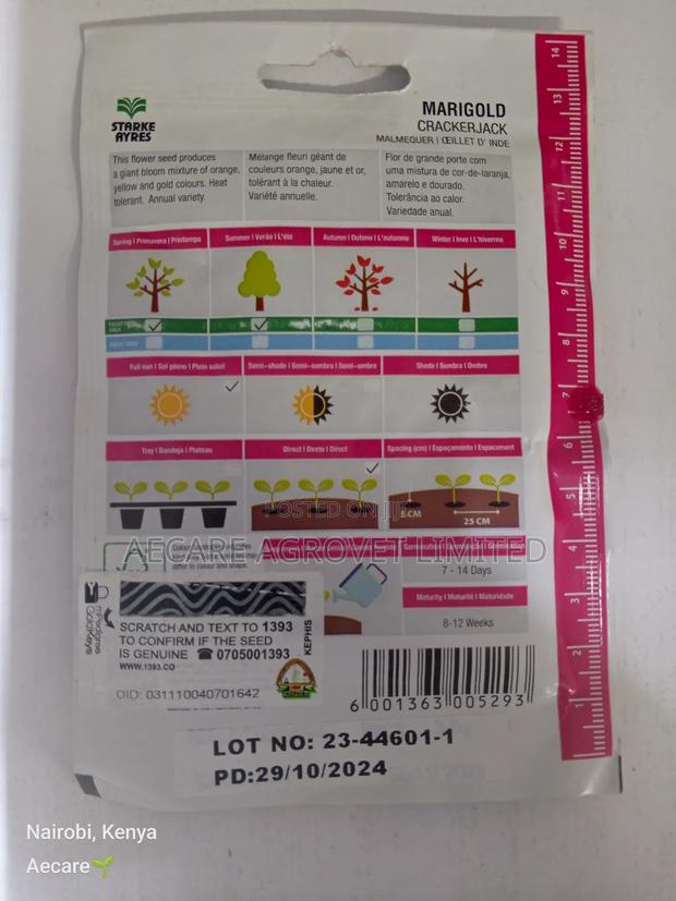 Marigold Cracker Jack Flower Seeds 3.5 Grams - thumbnail 6