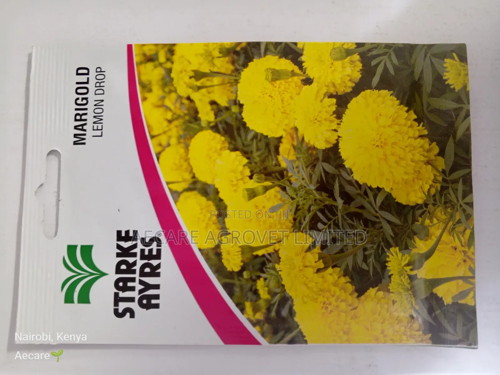 Marigold Lemon Drop Flower Seeds 0.5 Grams