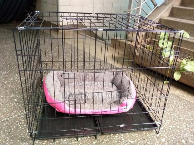 Collapsible Dog Crate for Small Dogs Ideal for Home - main view