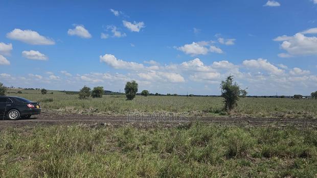 Prime Plots in Isinya Only 200 MTRS From Tarmac - thumbnail 2