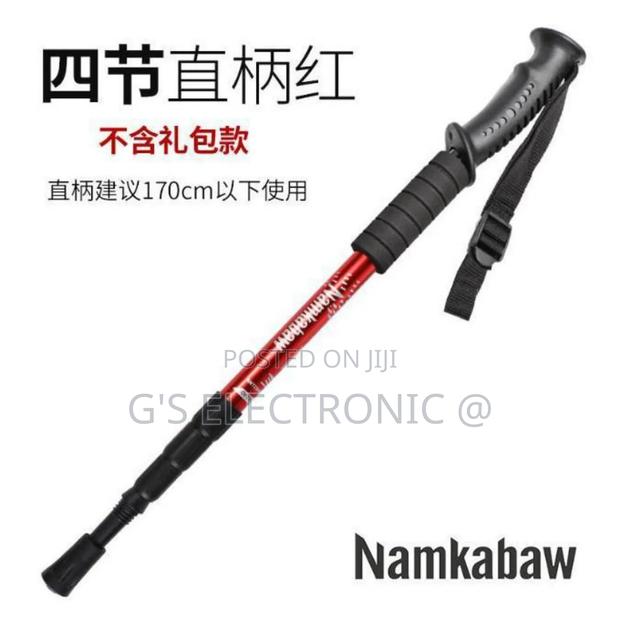 Hiking Pole/ Climbing Hiking Pole - main view