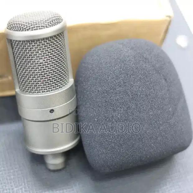 Original Condenser Microphone Sponge - main view