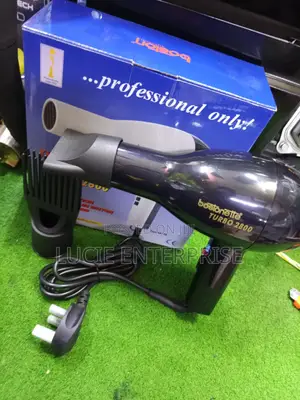 Professional Hair Dryer/ Boston Blowdryer