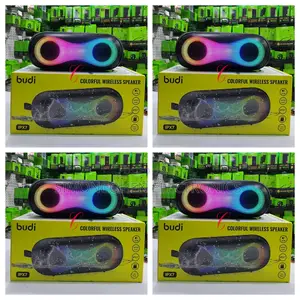 Budi Colourful Wireless Speaker