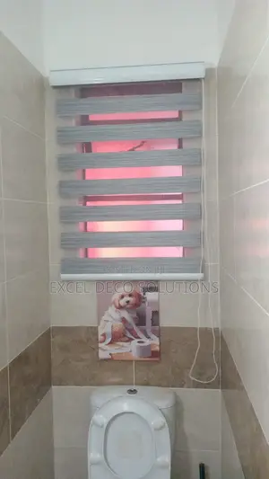Stylish Dual Layer Zebra Roller Window Blind