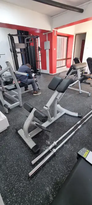 Adjustable Roman Chair/ Lumber Machine