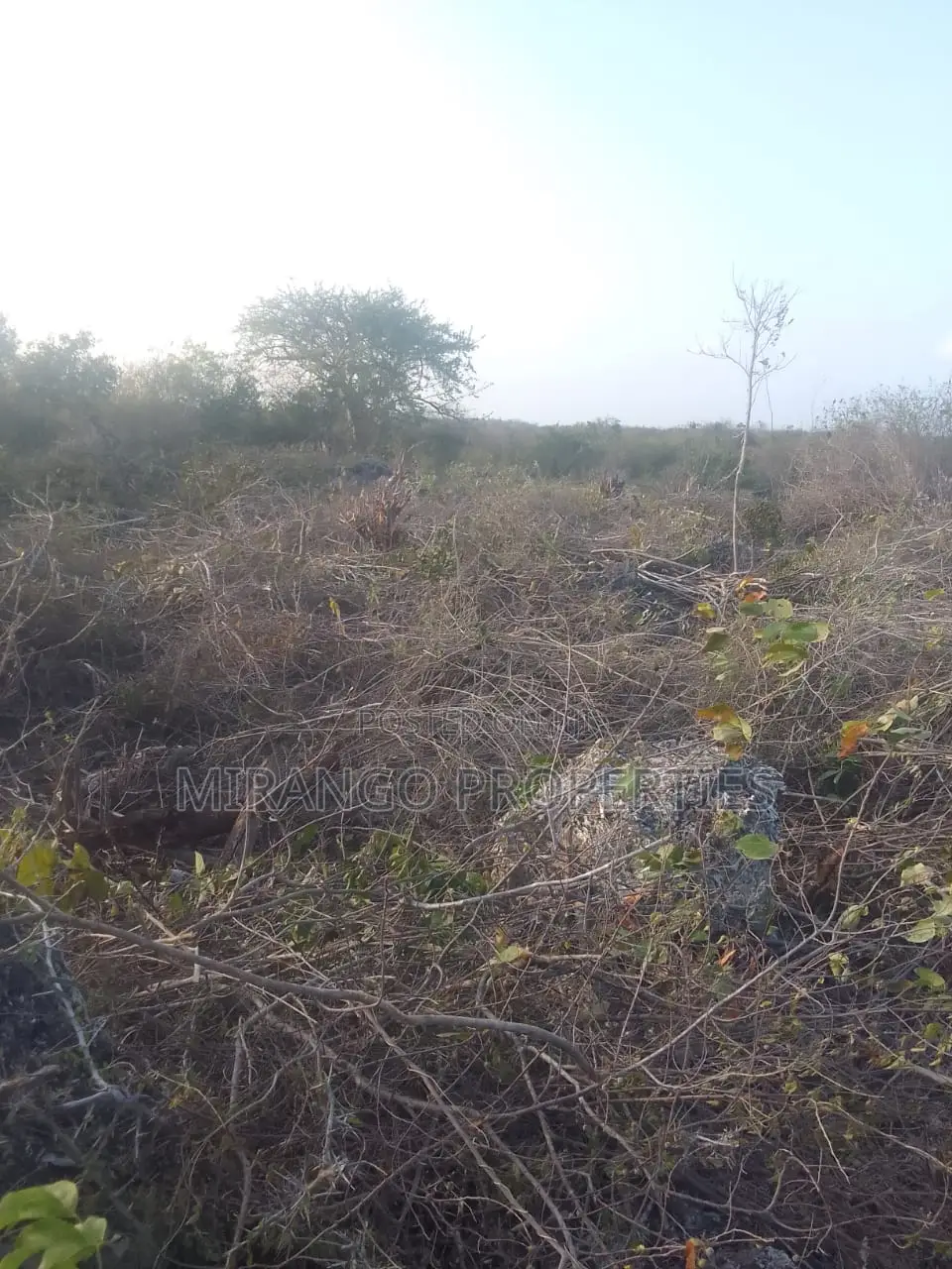 Mirango Properties Ltd