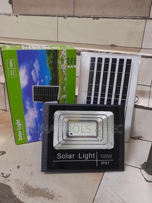 All Weather 100w Solar Lights + Panel