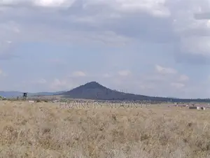 Land for Sale - Malili, Konza