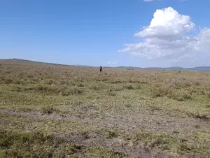 Land for Sale - Malili, Konza