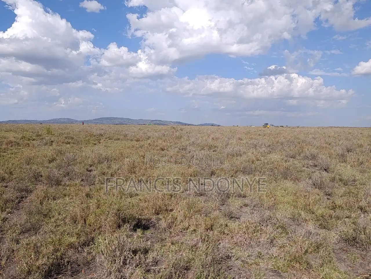 Land for Sale - Malili, Konza