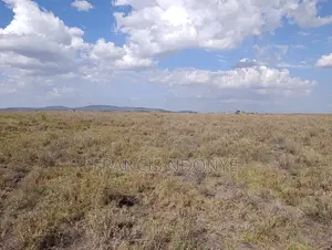 Land for Sale - Malili, Konza