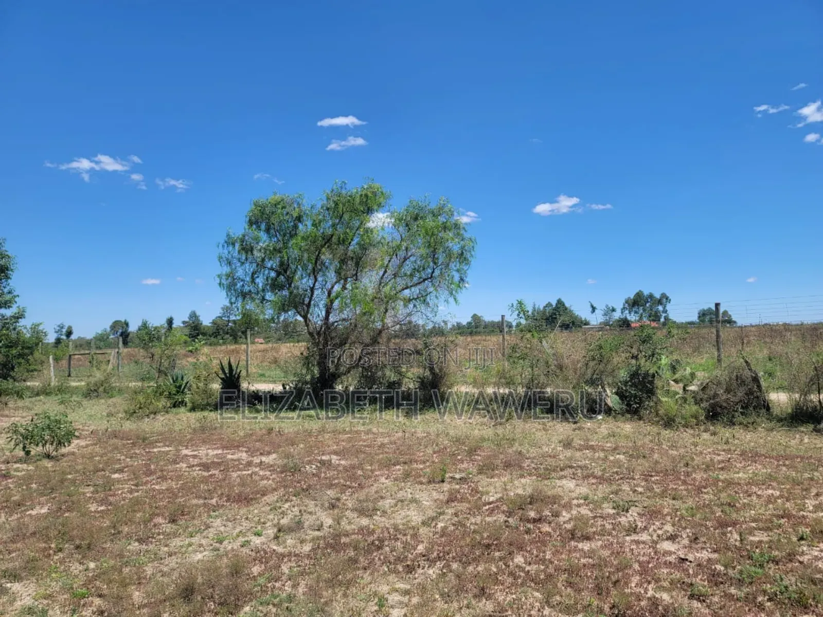 1/8 Piece Of Land In Nanyuki Sweet Waters