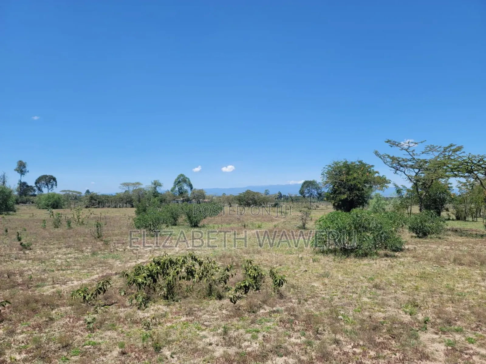 1/8 Piece Of Land In Nanyuki Sweet Waters