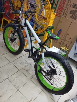 Best Quality Fat Tire Bicycle Very Easy to Ride With Gear