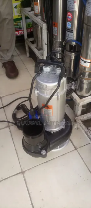 Best Quality Leonhard 2hp Sewage Pump/11.4m
