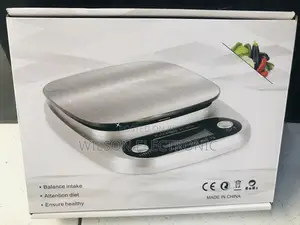 Digital Silver Kitchen Scale.
