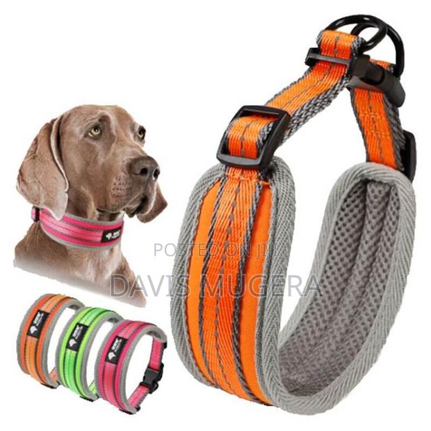 Padded Sports Dog Collar, Adjustable, Back Clip
