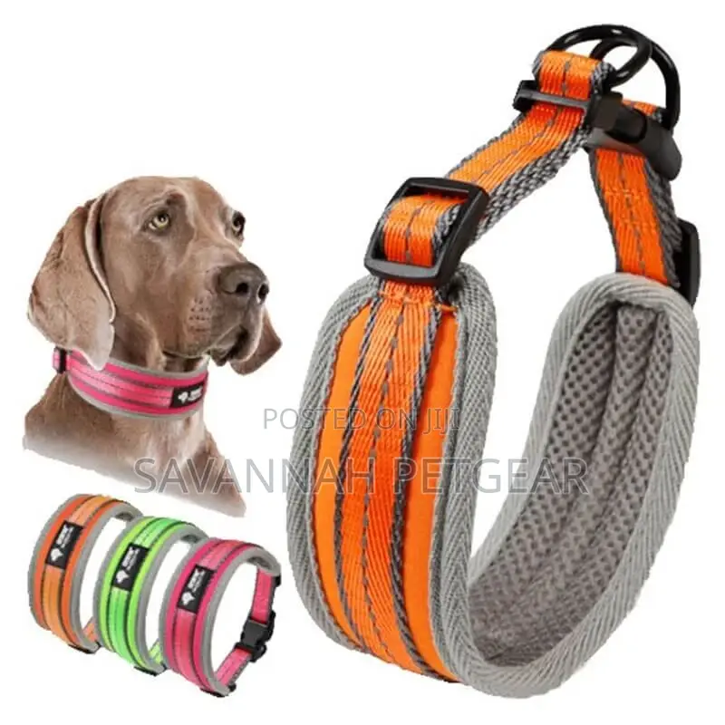 Padded Sports Dog Collar, Adjustable, Back Clip