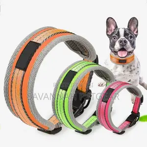 Padded Sports Dog Collar, Adjustable, Back Clip