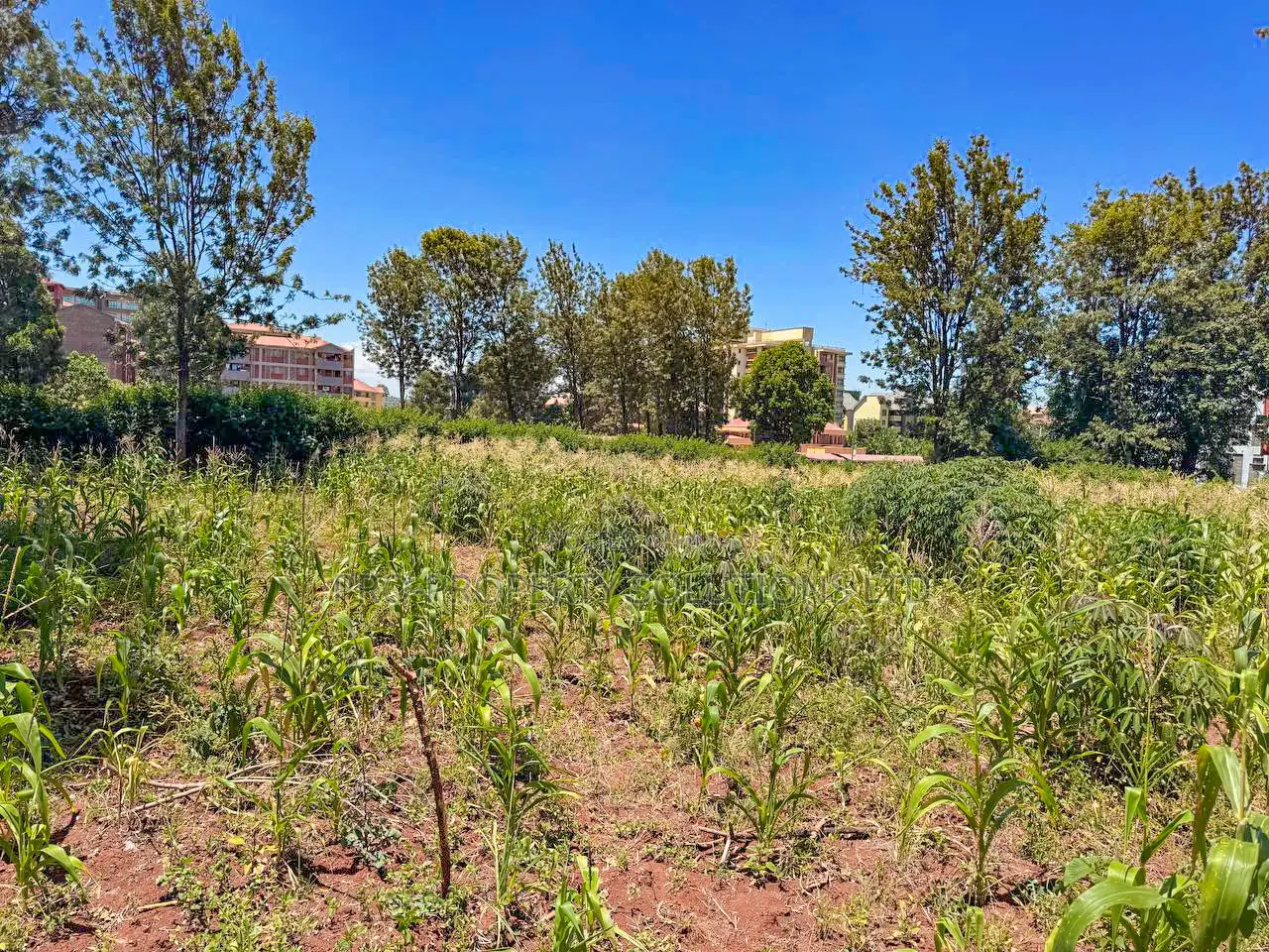 Commercial 3/4 Acre Plot for Sale in Thindigua, Kiambu
