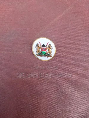 Coat of Arms and Lapel Pins