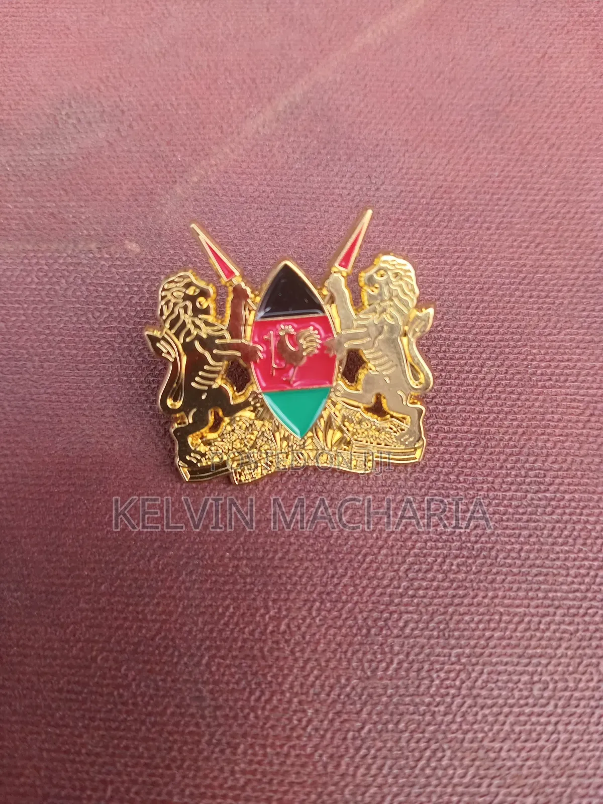 Coat of Arms and Lapel Pins