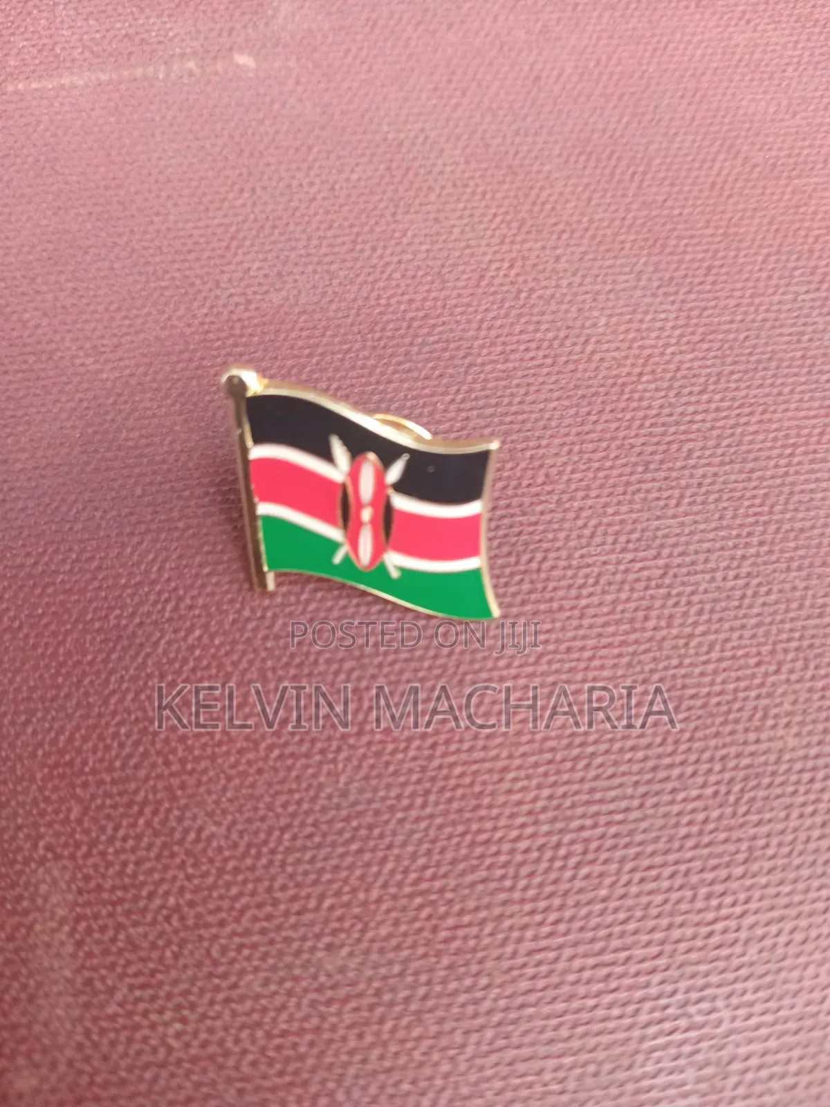 Coat of Arms and Lapel Pins