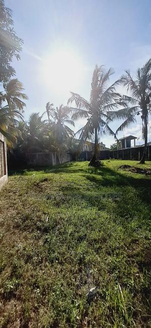 To Let Half Acre Yard Changamwe - thumbnail 2