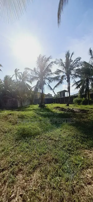 To Let Half Acre Yard Changamwe