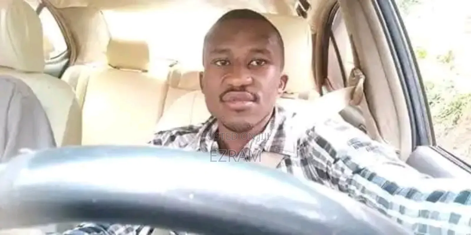 Professional Driver