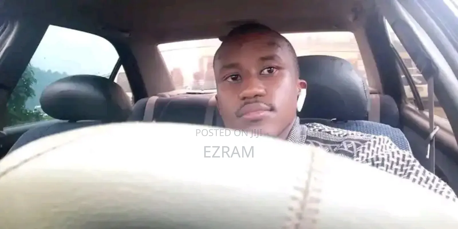 Professional Driver