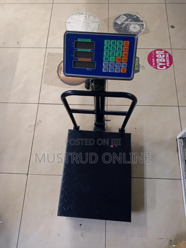 300kg Scale - main view