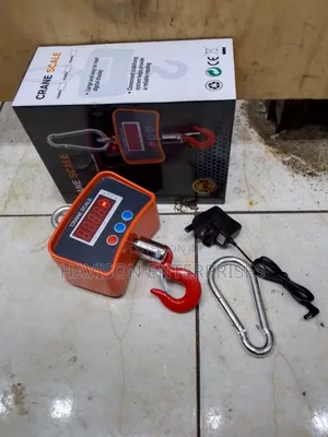 500kg Crane Scale