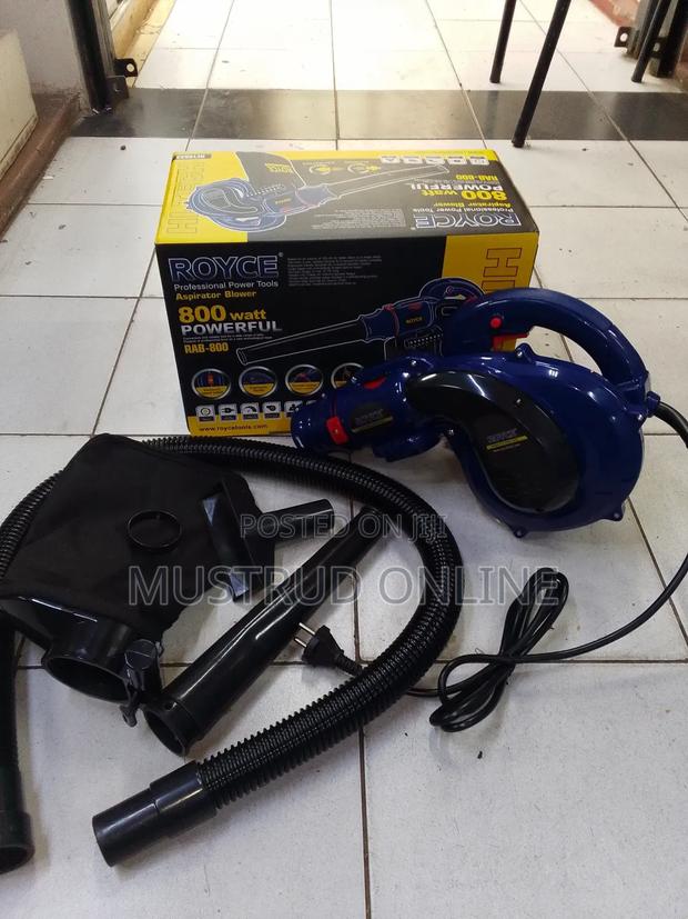 Royce 800w Blower - main view