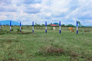 Gated Community Plots in Ruiru East ^Ma