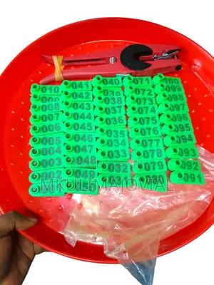 Quality Slim Sheep and Goat Ear Tags