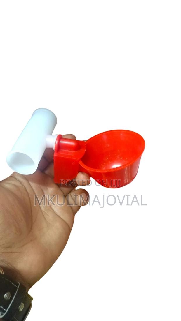 Automatic Cup Drinker for Chicken With Connector