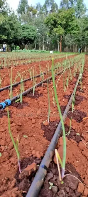 Drip System Set 1acre