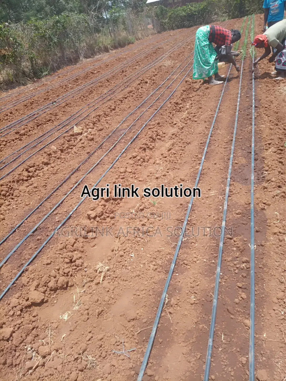 Drip System Set 1acre