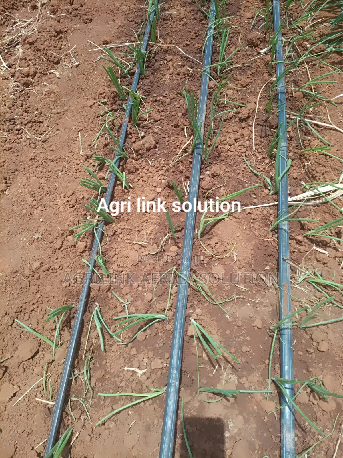 Drip System Set 1acre