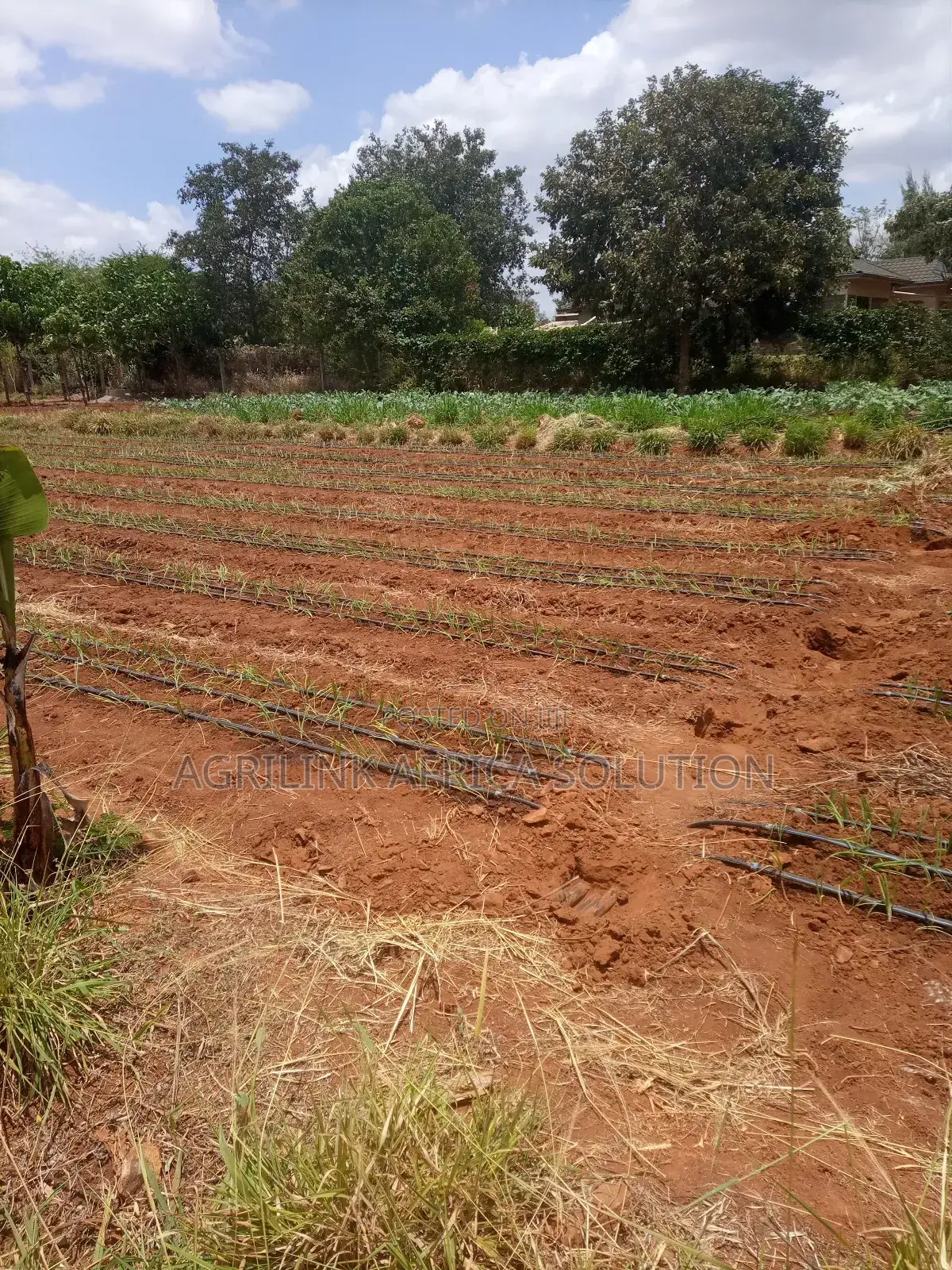 Drip System Set 1acre